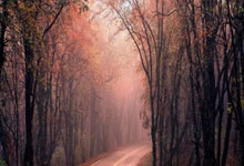 那不勒斯客场成功卷走三分，为保级增添信心