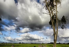 斯图加特表现抢眼，球迷期待更好表现