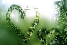 曼联豪取古亚诺维拉，英超优胜冲刺首胜