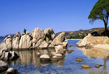 压轴大战：冠军赛场上，豪强角逐不亦乐乎